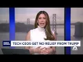 Tech CEOs still waiting for return on Trump bet