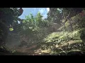 Relaxing Monster Hunter Music (Part 1)