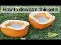 How to deworm chickens naturally Quick and easy recipe