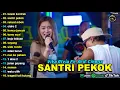 VITA ALVIA FT. ARIF CITENX - KAWIN KONTRAK, SANTRI PEKOK - FULL ALBUM DANGDUT KOPLO VIRAL TERBARU