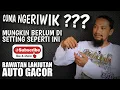 Download Lagu rawatan untuk MURAI BATU YANG CUMA NGERIWIK