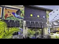 Konoko - A Jamaican Experience