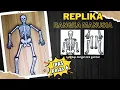 Download Lagu Membuat Replika Rangka Manusia IPAS Kelas 6 Kurikulum Merdeka