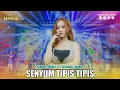 Download Lagu AJENG FEBRIA - SENYUM TIPIS TIPIS | Mahesa Music
