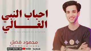 احباب النبي الغالي محمود فضل                                     دندنها