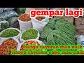 Download Lagu HARGA DAN SAYURAN HARI INI NAIK SEMUA#PASAR INDUK CIBITUNG#20 AGS 2025