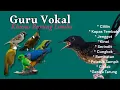 Lagu GURU VOKAL AMPUH BURUNG LOMBA