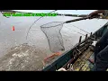 Download Lagu BERKUMPULNYA KAKAP HITAM DI KEPALA PULAU BIKIN REEL MENJERIT#fishing