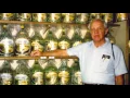 William Hekman - Life Story Digital