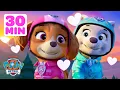 PAW Patrol Valentine s Day Friendship Adventures w Skye 30 Minutes Shimmer and Shine