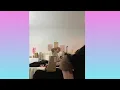 CHARLI DAMELIO JUST BEEN TWERKING ALOT LATELY