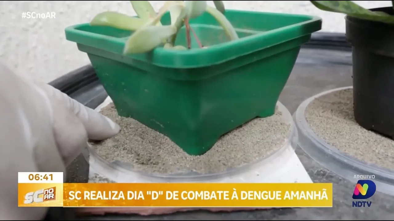 Santa Catarina realiza 'Dia D' de combate à dengue em meio a explosão de casos
