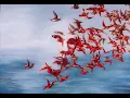 Peter Kater & Dominic Miller-What Lies Within
