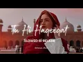 TU HE HAQEEQAT full song ( Slowed+ reverb ) NAAZ🔥 #viralvideo #foryou #trendingvideo #fypシ゚viral 