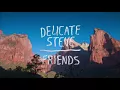 Delicate Steve - "Friends" (Full Album Stream)