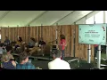 Leveling Up Scaling the Smart Way
