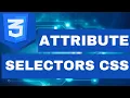 attribute selector in css in tamil css in tamil html css in tamil learn code tamil