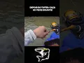 Download Lagu DEPOIS DO TUFÃO VEM A CAÇA AO PEIXE GIGANTE #pesca #barcopesqueiro #pescasub #curiosidades