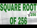 SQUARE ROOT OF 256