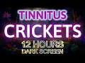 Download Lagu Terapi Suara Tinnitus: Jangkrik, 12 Jam Suara Jangkrik yang Menenangkan dan Layar Gelap yang Damai