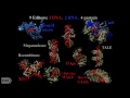 The future of genetic codes and BRAIN codes