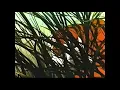 Download Lagu The Jungle Book (1967) Meet Shere Khan