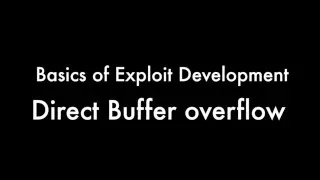 2 - Basic Exploit Development