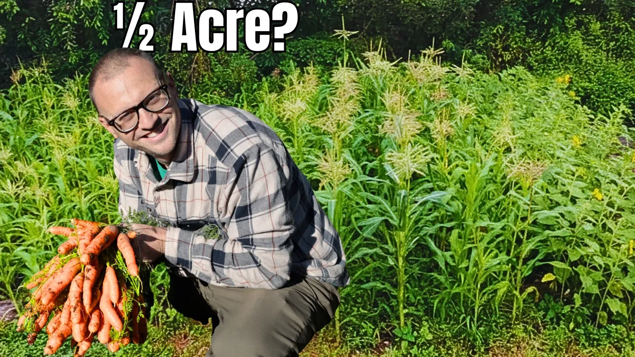 Youtube Thumbnail 7032565539375752736930 