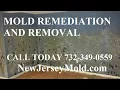 Crawl Space Mold Remediation Removal Manahawkin NJ 732-349-0559 NewJerseyMold com