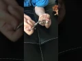 Edison s light Filament Faraday s Magnetic Field