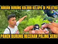 Download Lagu TERNYATA MIKAT DI SARANG BURUNG KOLIBRI KELAPA ITU PALING SERU, PANEN BURUNG GELATIK, KORLAB, TRUCUK