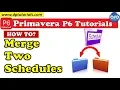 How To Merge Two Separate Schedules Into One Master Schedule In Primavera
