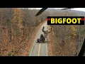 Lagu Filmed From a Helicopter: 33+ SCARIEST Bigfoot Encounters Caught on Camera