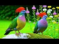 Lagu Nature Sounds \u0026 Relaxing Music | Birds Singing in the Forest for Calm, Focus \u0026 Deep Peace