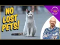 How to prevent and deal with lost pets