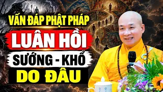 Vấn Đáp CÂU HỎI THỰC TẾ Thầy Giảng Đặc Biệt Hay Đăng Ngày 23.10.2026 - Thầy Thích Trí Huệ
