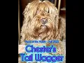 Chester s Tail Wagger - Detroit Style Build