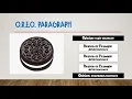 Opinion Writing Paragraph Intro for Kids