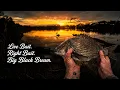 Had only a couple hours of light to catch Big Bream in Gippsland