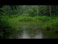 Download Lagu Peaceful Rain Over Lotus Pond | Sleep Meditation \u0026 Mind Detox