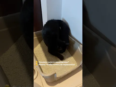 У нас три таких лотка. Наши кошки очень любят копать. Это одна из основ туалета.