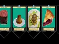 Foods That Start With C - How Many Have You Heard Of