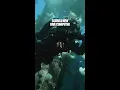 Lagu Refer a friend and win a new dive computer!