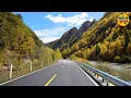 Legendarische Route in West-Sichuan: Een Explosie van Herfstkleuren op de Ganbai Weg [4K HDR]