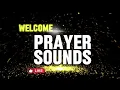 CARRY ME HOLY GHOST --- WORSHIP AND TONGUES OF FIRE --- MIN THEOPHILUS SUNDAY 