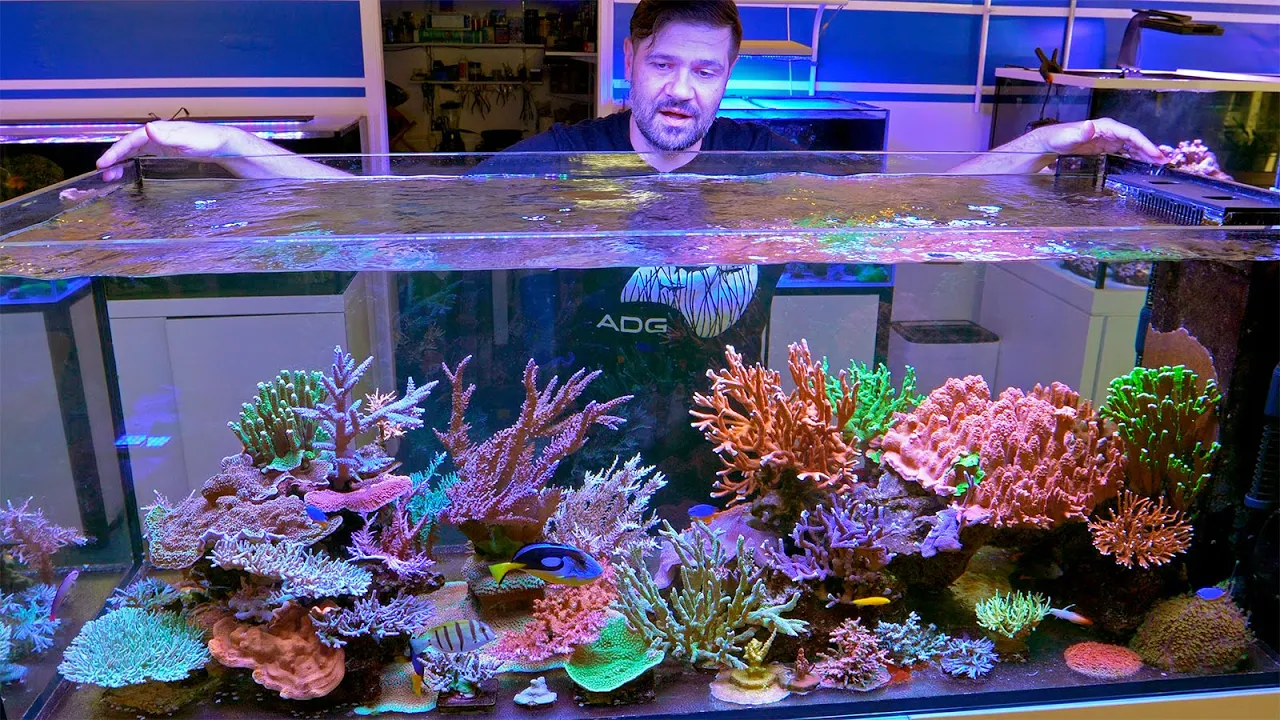 The Reef That Thrives on the Basics