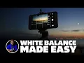 The Truth About White Balance: Your Camera Is Guessing!