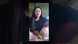 again sitting relaxed in the cottage partially