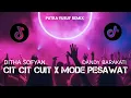 Lagu HITS REMIX TERBARU - CIT CIT CUIT BEBEK BERENANG X MODE PESAWAT ( PUTRA YUSUF REMIX ) 2025