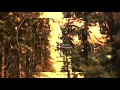 Download Lagu Otis McDonald «» Daylight